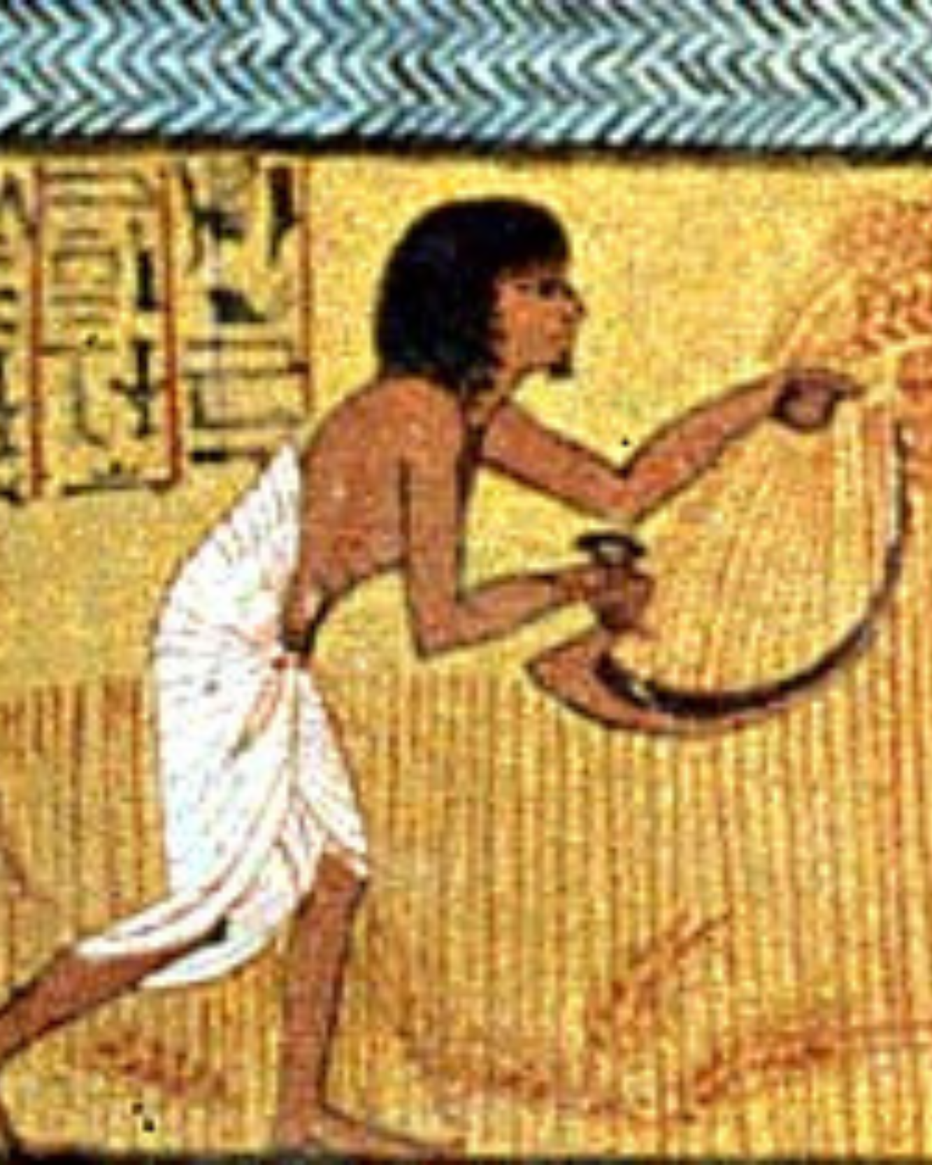 Sustainable Living Through the Ages: Harnessing Ancient Wisdom for Today